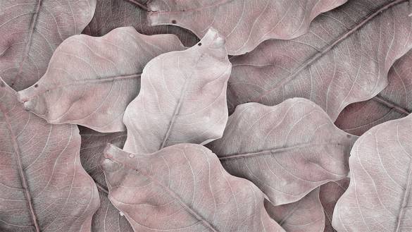 Kahverengi Yaprak Desenli 3D Duvar Kağıdı - 4