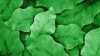 Yeşil Yaprak Desenli 3D Duvar Kağıdı - Thumbnail (5)