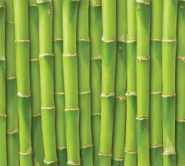 3-1136 Bambu