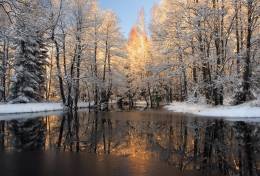 4-1433 Göl yansıma karla kaplı ağaçlar