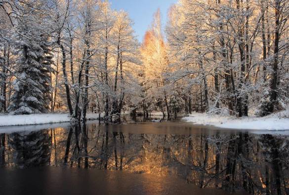 4-1433 Göl yansıma karla kaplı ağaçlar - 0