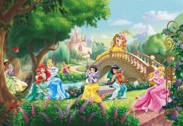 8-478 Komar Princess (Prenses) Çocuk Odası Duvar Kağıdı