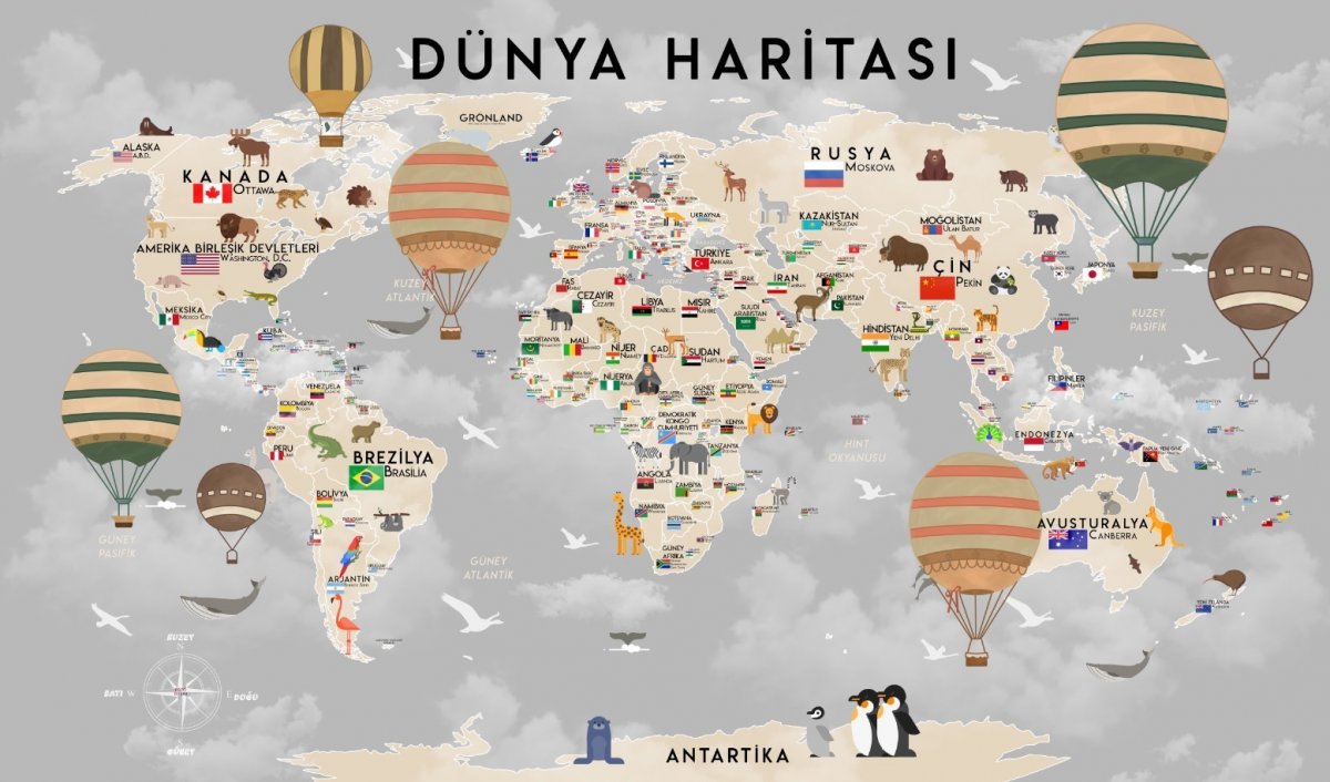 Dünya haritası çocuk odası duvar kağıdı Başkentli bayraklı Türkçe bebek odası duvar kağıdı