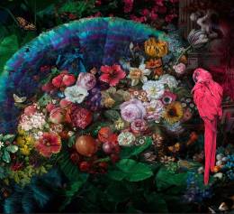 Pembe Papağan Kelebek ve Çiçek Desenli 3D Duvar Kağıdı