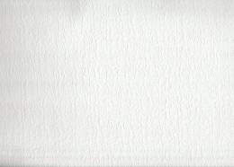 Seela Boyanabilir Duvar Kağıdı S-7986