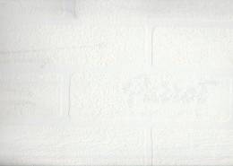 Seela Boyanabilir Duvar Kağıdı S-8401