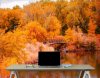 Sonbahar Manzaralı Duvar Kağıdı THSON013 - Thumbnail (4)